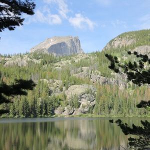 Meet your Posher, Mingwei